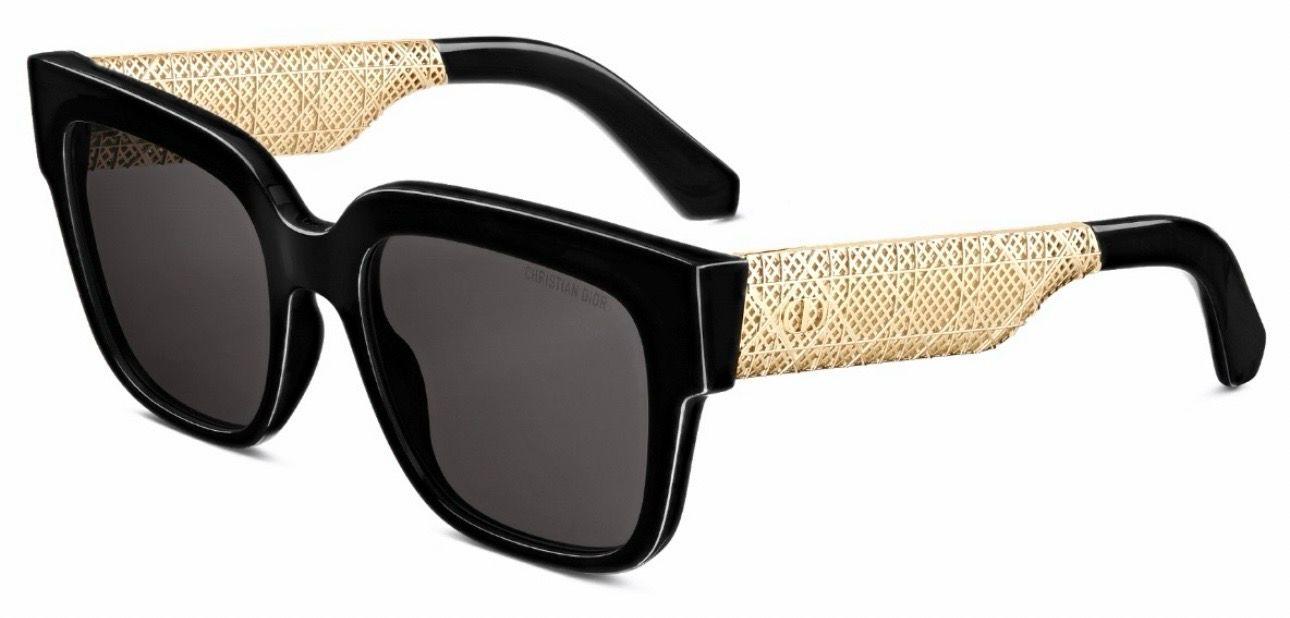 DIOR RESILLE S1F