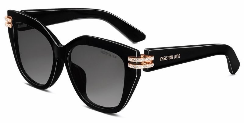 DIOR CDIOR B4I