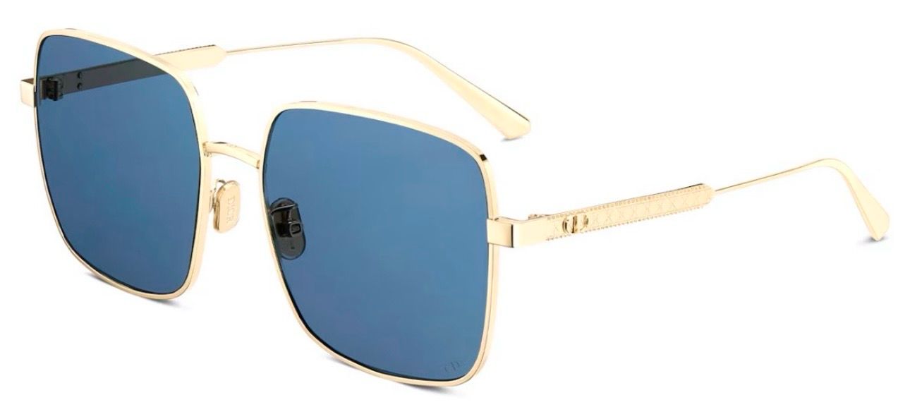 DIOR CANNAGE S1U