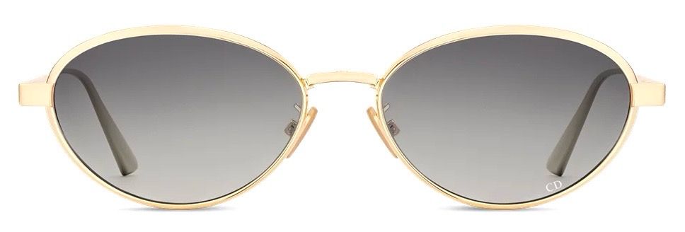 DIOR CANNAGE R1U