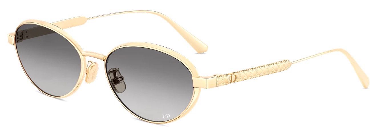 DIOR CANNAGE R1U