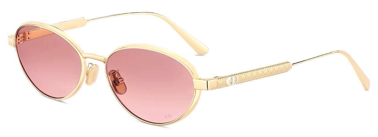 DIOR CANNAGE R1U