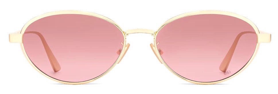 DIOR CANNAGE R1U