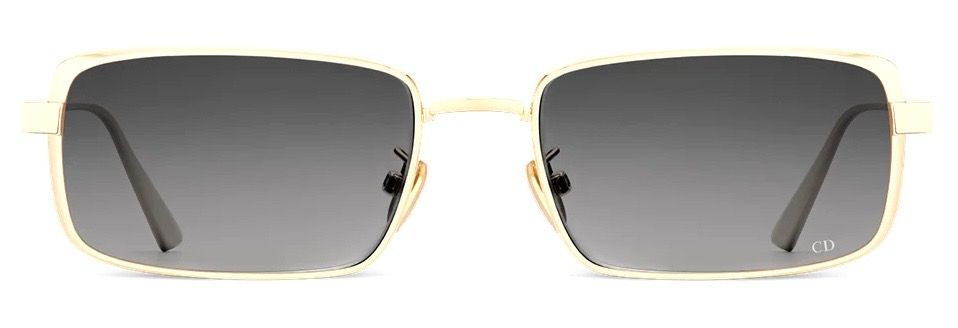 DIOR CANNAGE S2U
