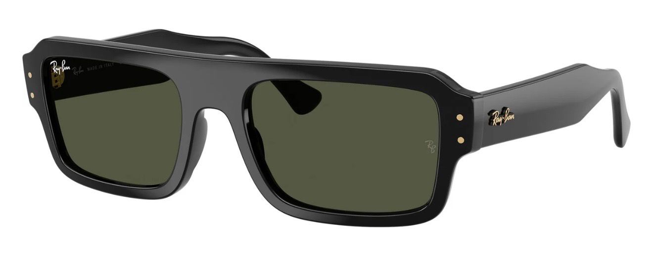 RAYBAN 4454 667731 56