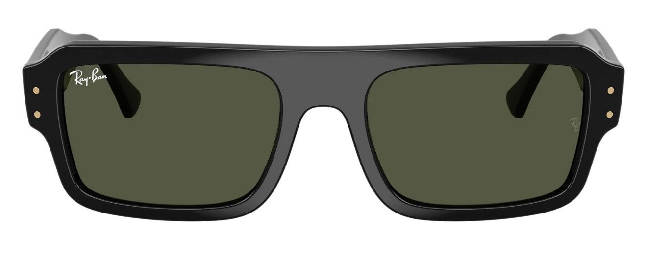 RAYBAN 4454 667731 56
