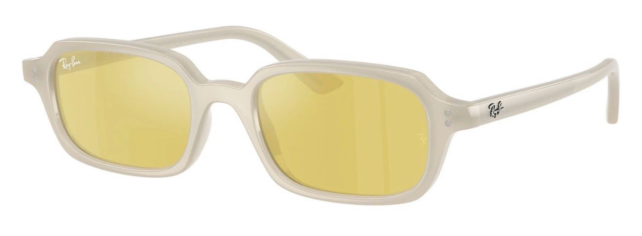 RAYBAN 4455 68086D 49