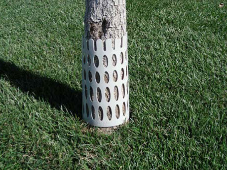 Tree Guard " Call for pricing"