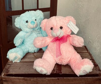 Pink/Blue Baby Teddy Bear