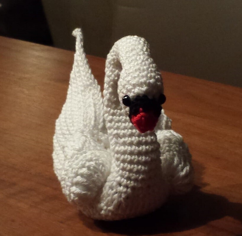 Schwan Schwan