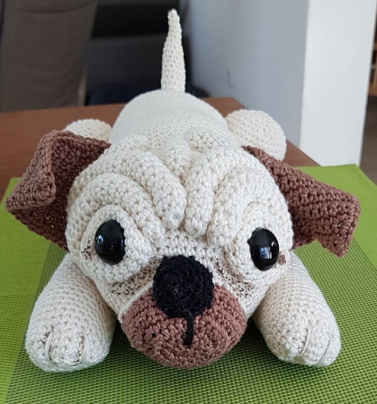 Hund Mops Hund Mops