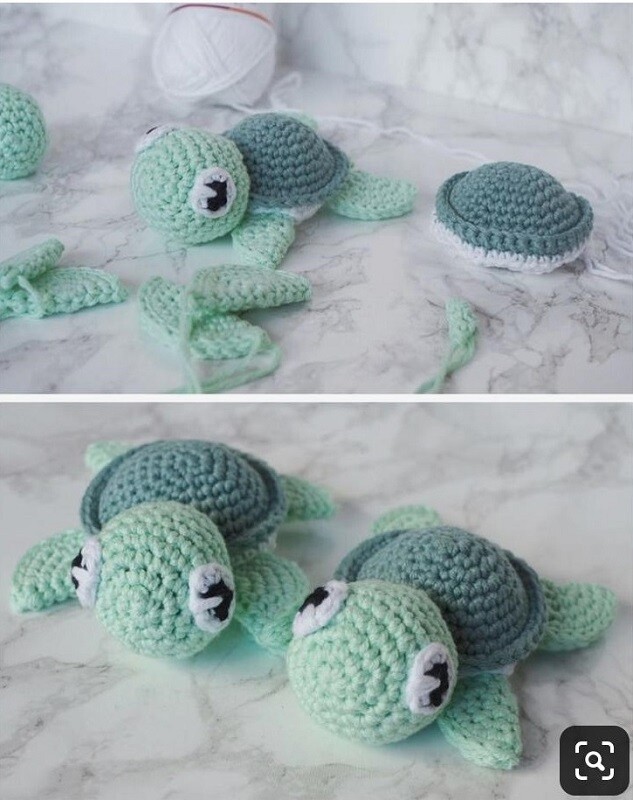Schildkröte Schildkröte