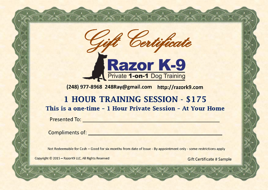 1 Hour Training Session Gift Certificate