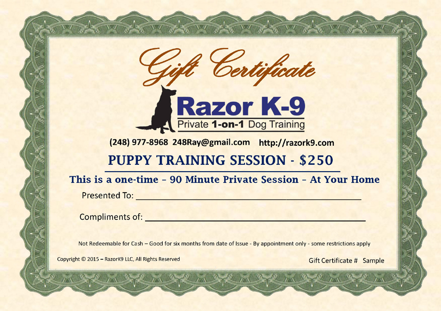 Puppy Session Gift Certificate