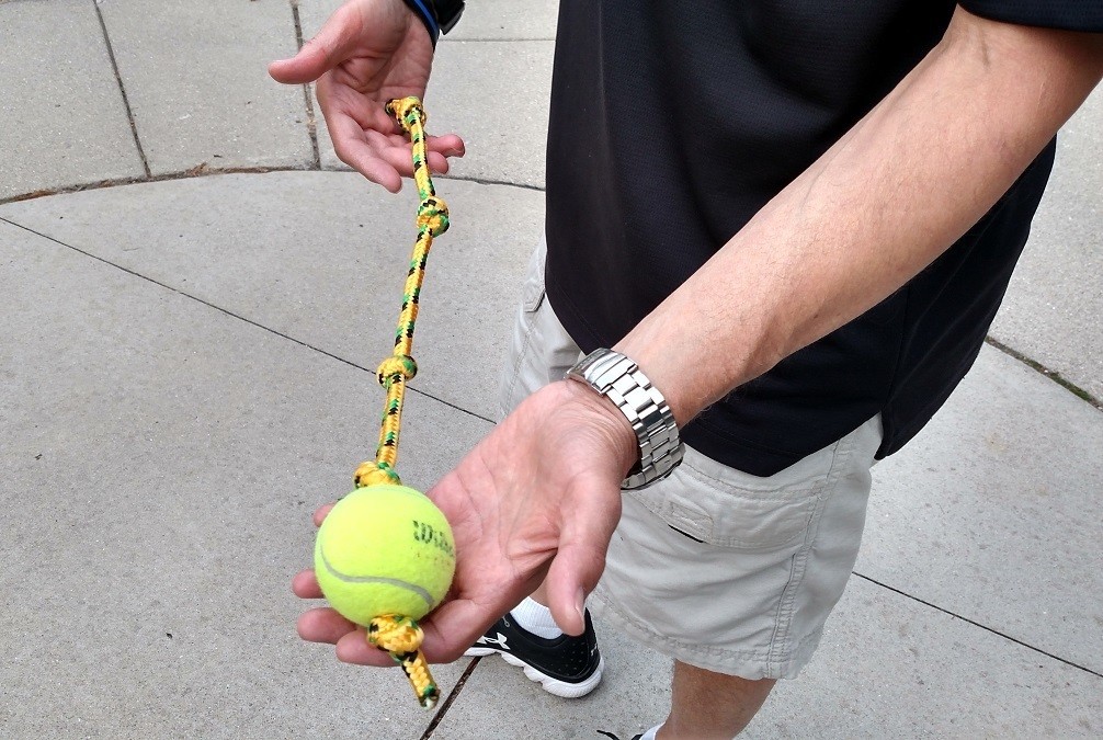 Tennis Ball Tug Toy