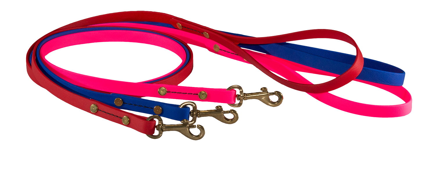 Dog Leashes for Small Sized Dogs 1/2" Wide