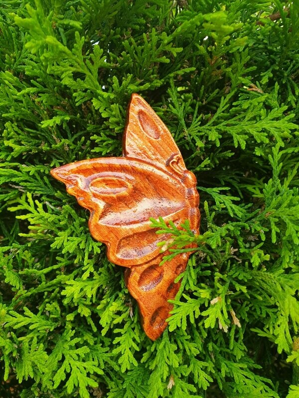 Wooden Butterfly