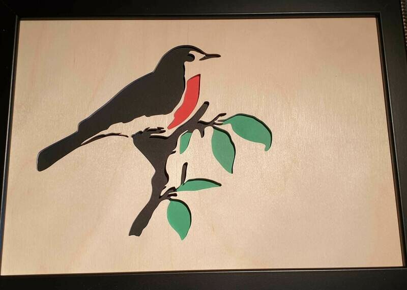 Robin