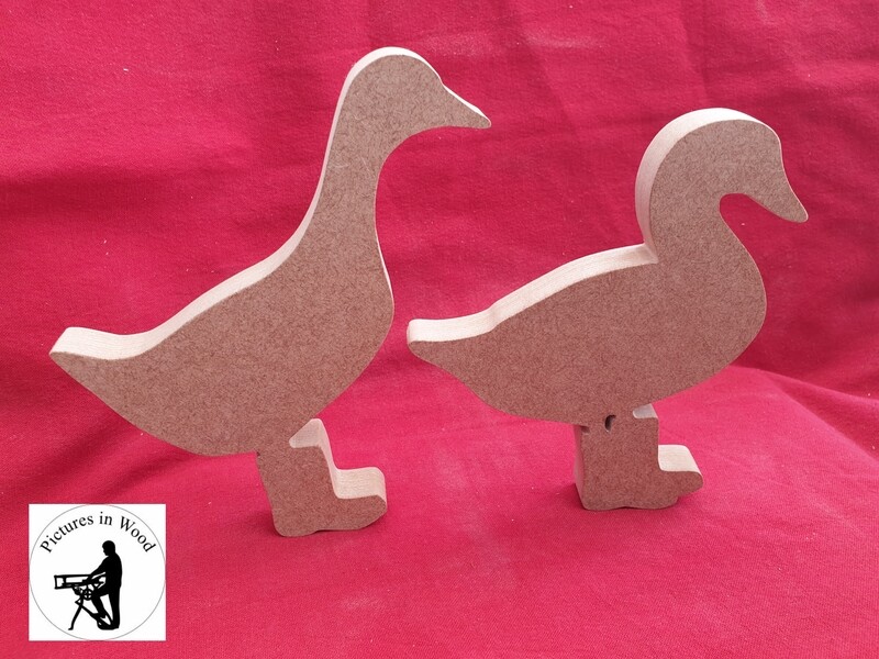 Duck in Wellies
