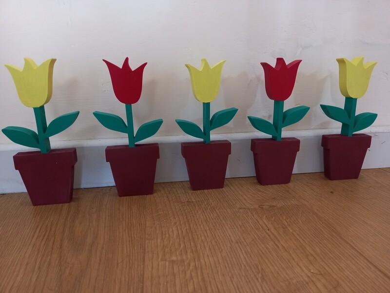 Tulips