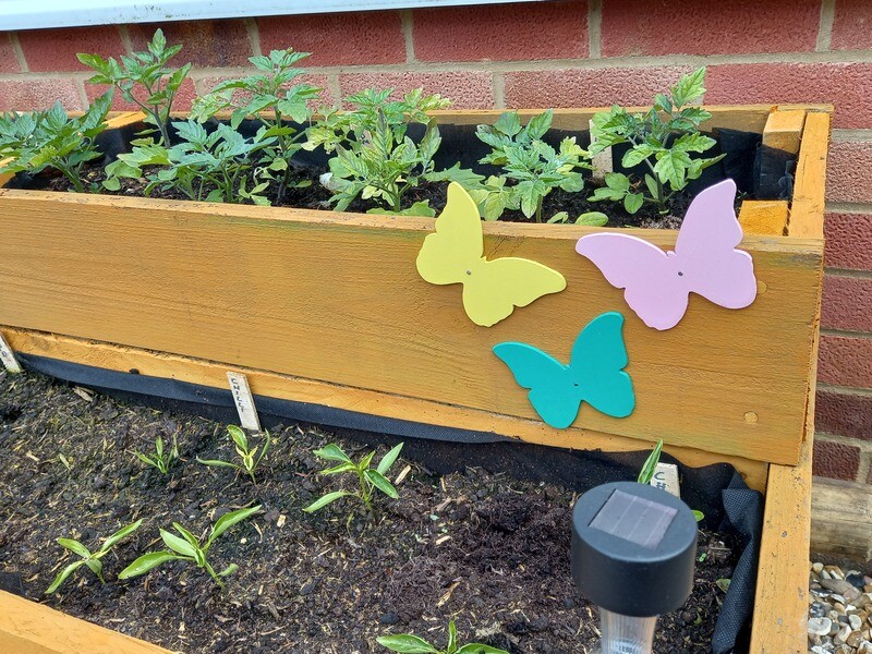 Set of 3 Butterflies