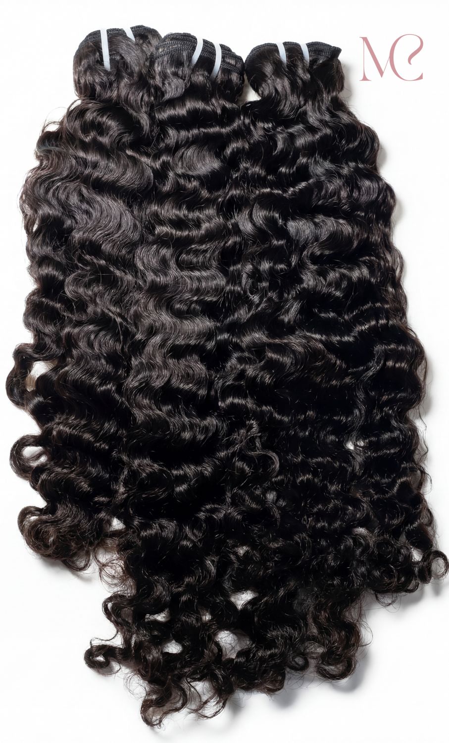 Burmese Curly Burmese Curly