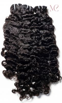 Burmese Curly Burmese Curly