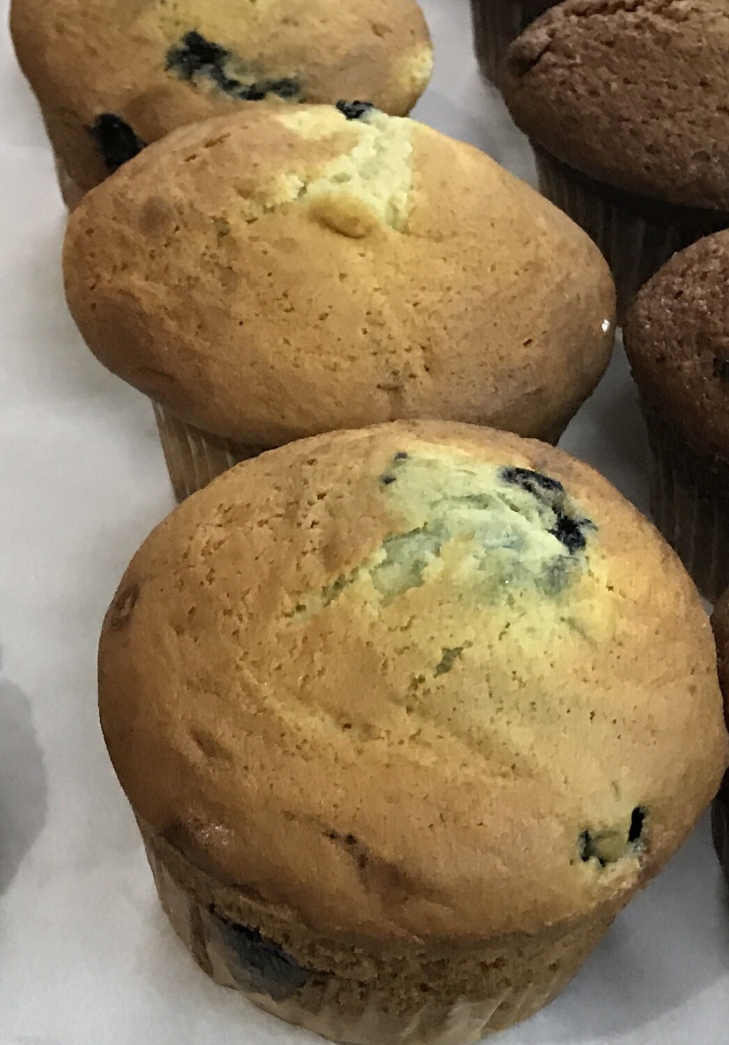 PASTRY - Blueberry Muffin