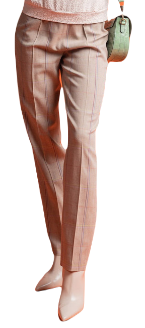 Accent broek geruit