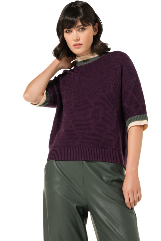 Caroline biss pull bordeaux 4226 69