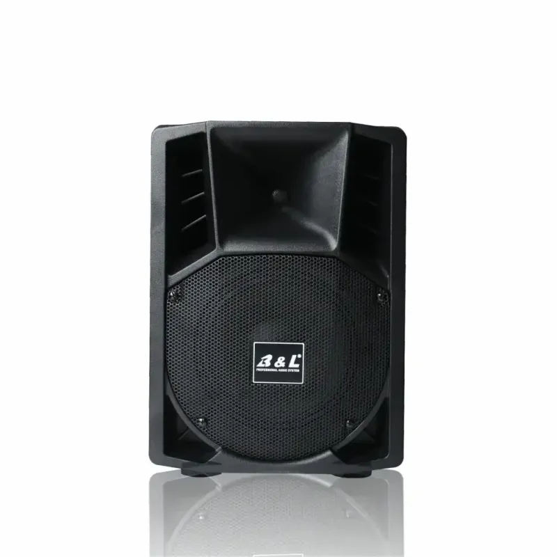 CABINA AMPLIFICADA DE AUDIO DE 8’’