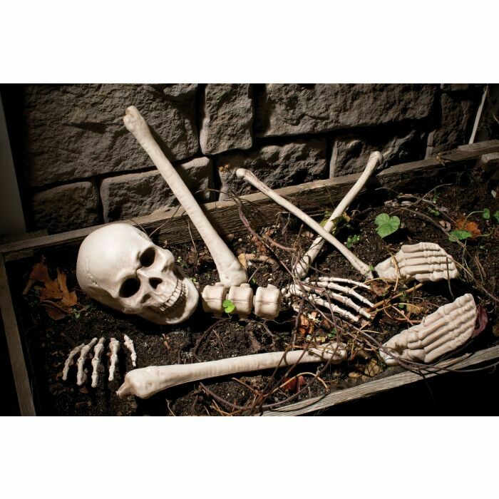Bag O&#39; Bones