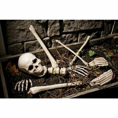 Bag O&#39; Bones