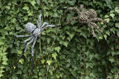 30" Fuzzy Spider Asst