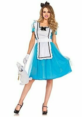 2 pc classic alice apron dress