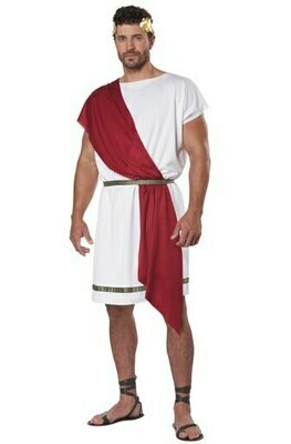 PARTY TOGA/ADULT 