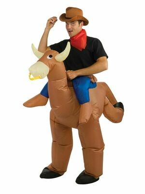 INFLATABLE BULL RIDER