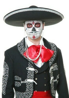 Mariachi Hat