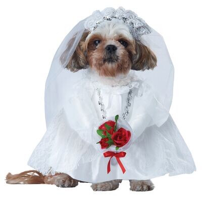 Puppy Love Bride XS