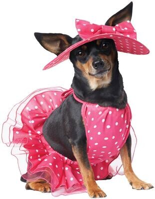 Pretty in Pink XS Pretty in Pink XS