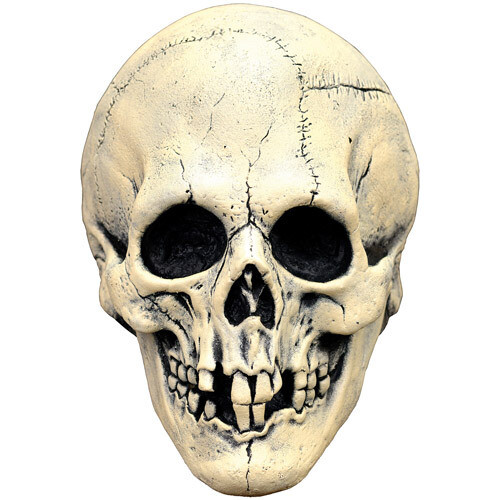Night owl skull