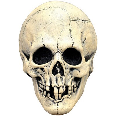 Night owl skull