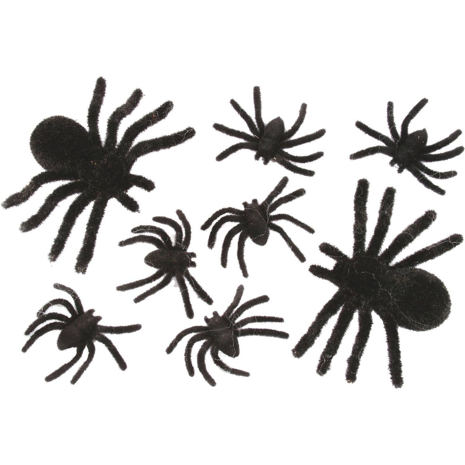 Fuzzy  black spider family