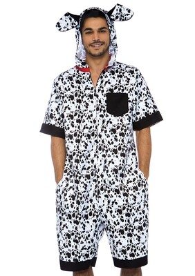 Dalmation Dog