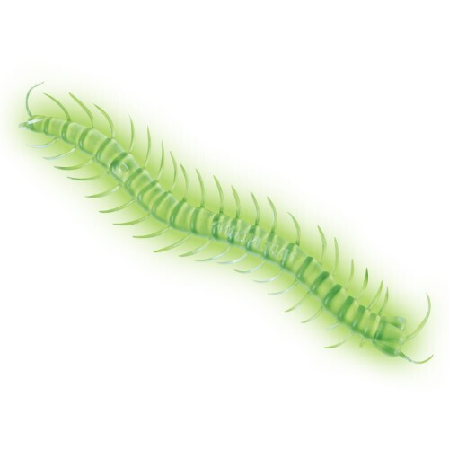 glow in the dark insects bugs