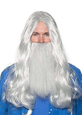 Halloween Wizard Grey beard and wig