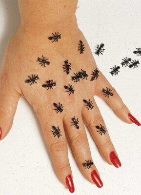CREEPY ANTS 144 PIECES