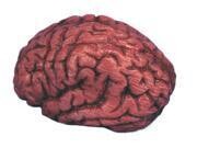 frighten your friend bloody brain