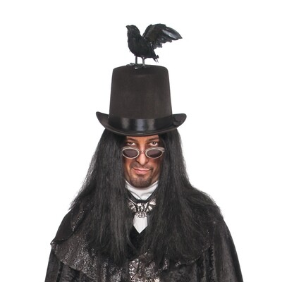 RAVEN TOP HAT