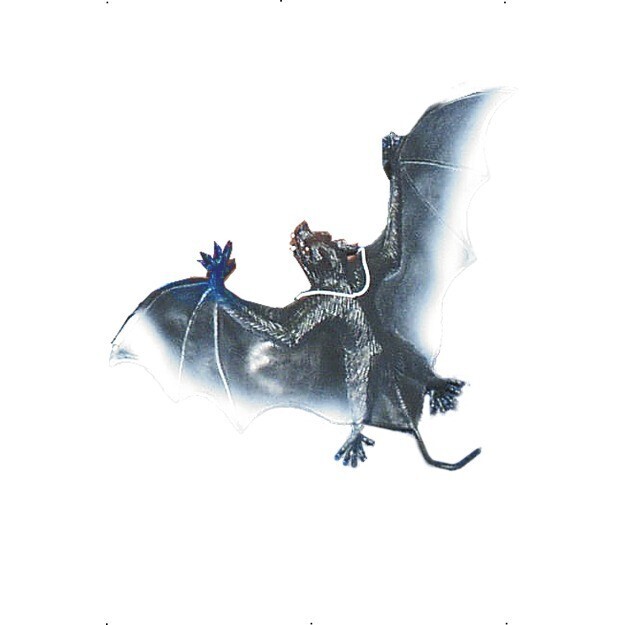  Vampire bats large